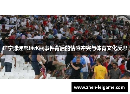 辽宁球迷怒砸水瓶事件背后的情感冲突与体育文化反思